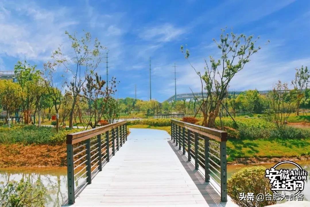 2020年,在这50个地方遇见不一样的合肥