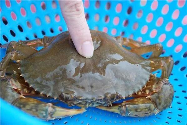 好奇宝宝会问的问题,好奇宝宝每日三问