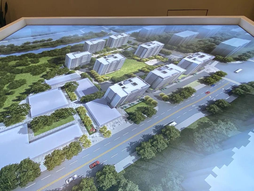 檀映里触发了社保，绿城在丁桥的首个项目会吗？