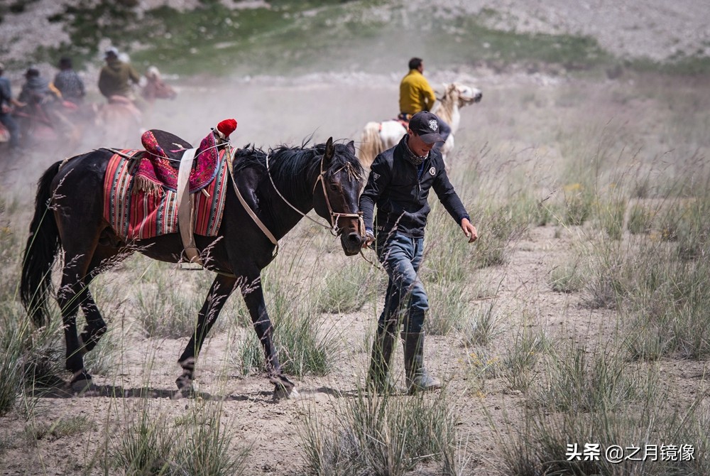 铁血雄鹰全剧,铁血雄鹰全文阅读