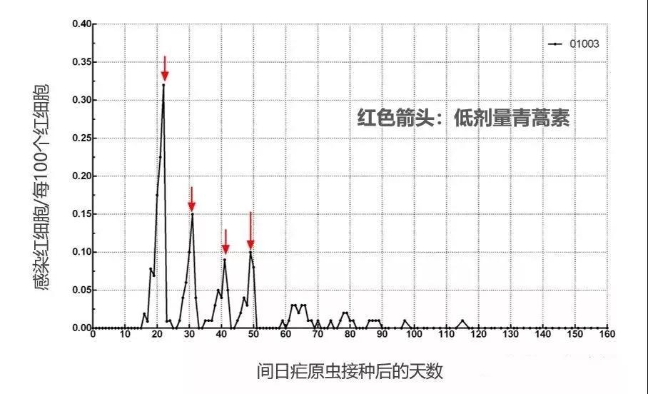 青蒿素治疗癌症一针16小时消失,疟原虫治愈癌症