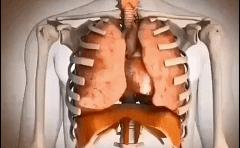 “内脏下垂、子宫脱落、漏尿……”：扒一扒你不知道的网红束腰