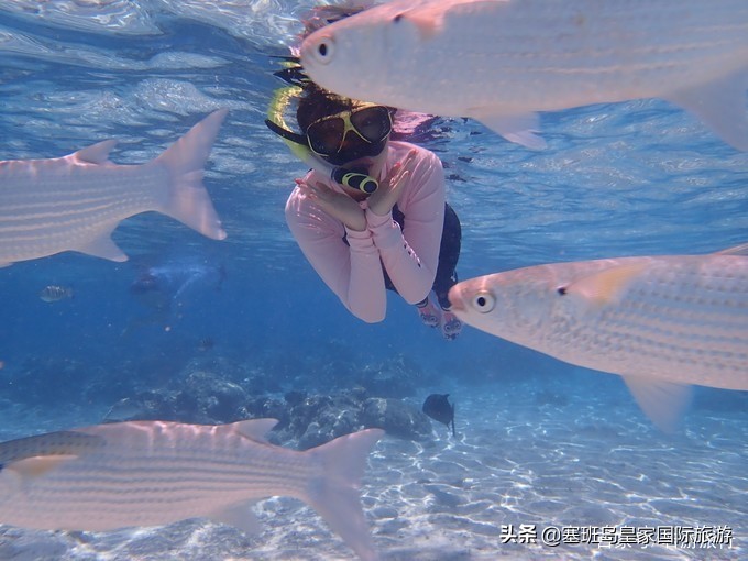 塞班岛之军舰岛一日游 (塞班岛的军舰岛和日本军舰岛)