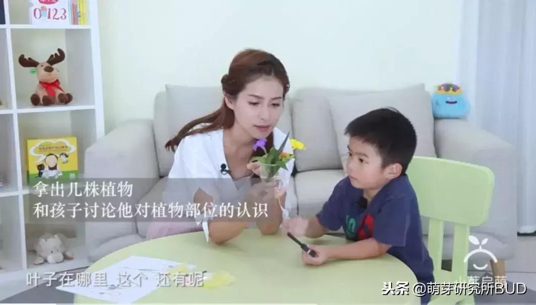 用身边的东西创艺术,用身边常见的物品创造出令人惊喜