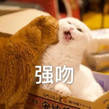 全球公认最佳吻技奖教你：如何给TA一个满分的亲亲