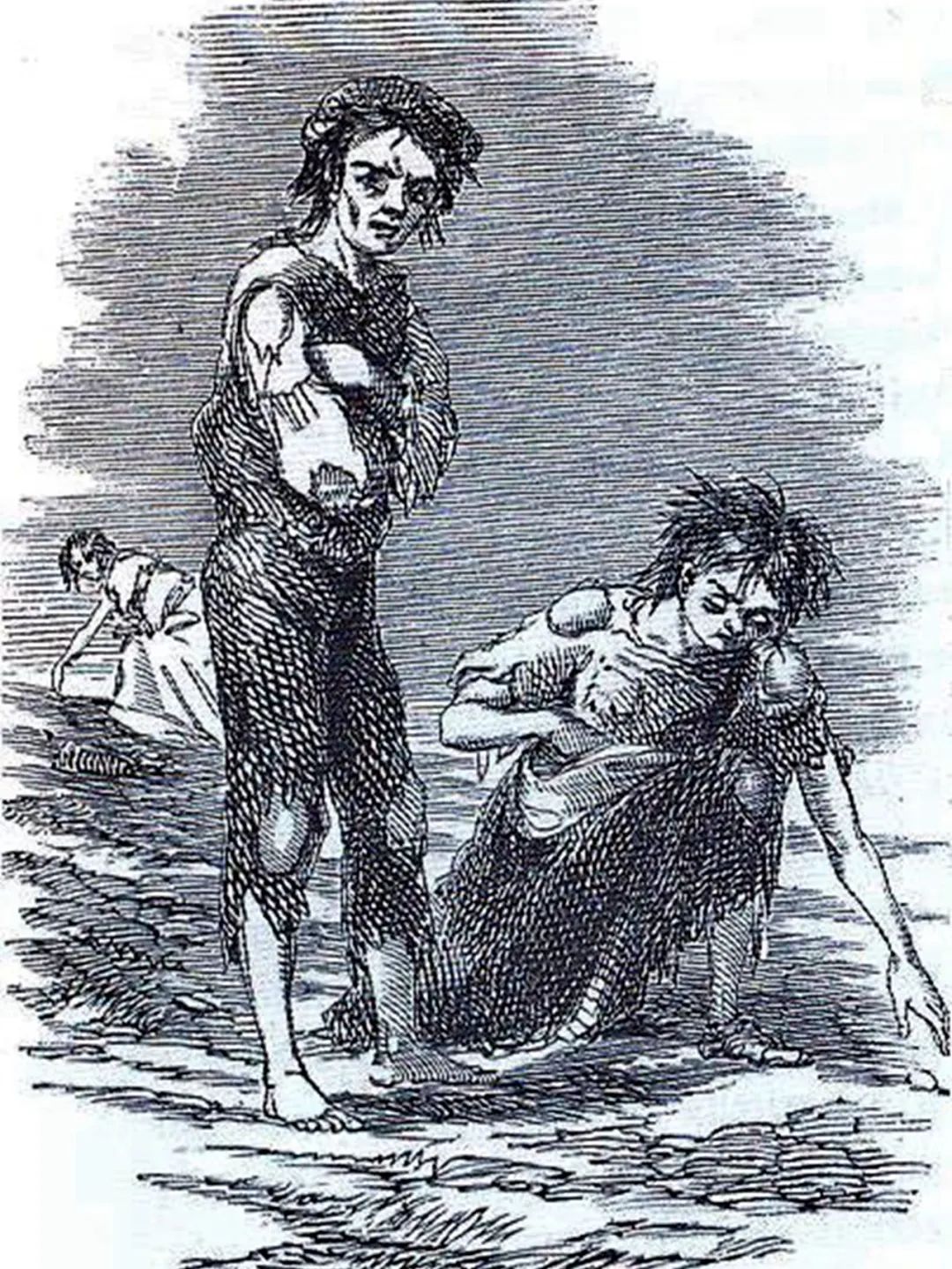 爱尔兰饥荒是由什么引起的,爱尔兰的饥荒是怎么回事