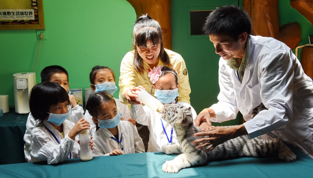 长隆动物园攻略带食物,长隆创意玩法