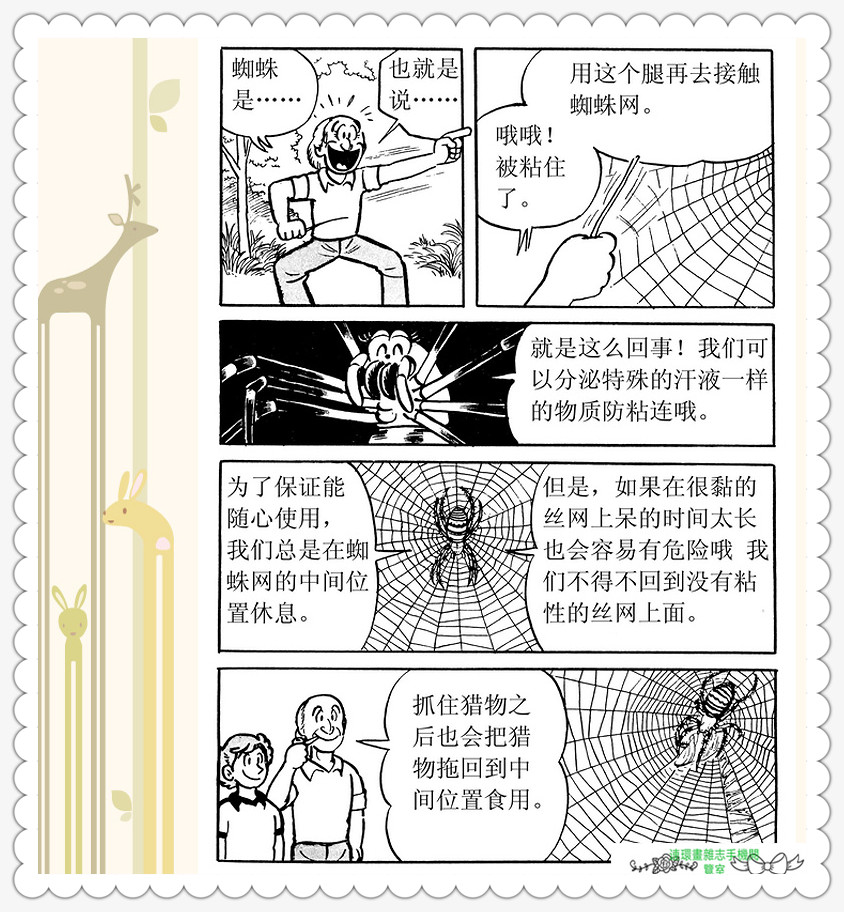 昆虫记法布尔动画片,昆虫记法布尔全套