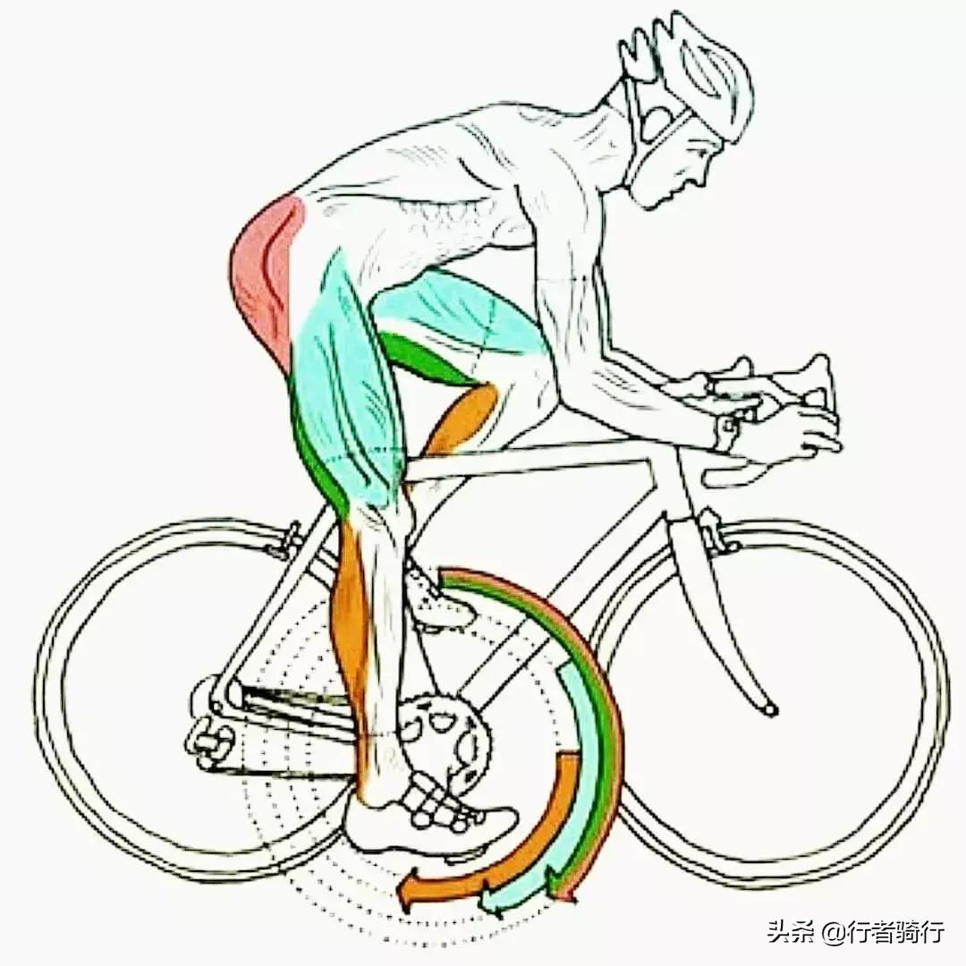 不比赛要减脂吗,不比赛不参团不跑马