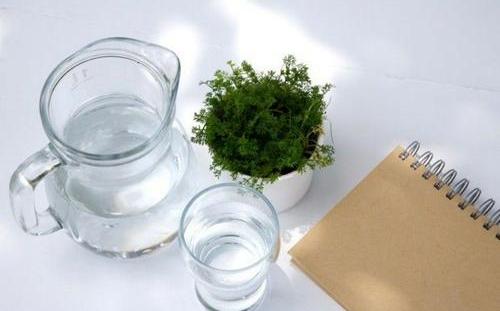 大暑到6种防中暑食物准备好了,大暑防暑温馨提示