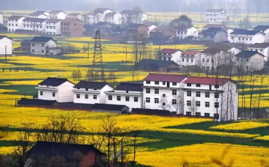 陕西省哪些市发展好,陕西各个县发展排名