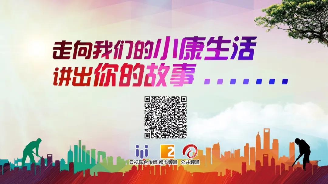 种植小松茸,牛粪种蘑菇技术姬松茸