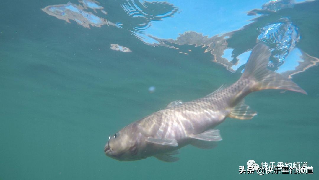 这些逆天钓鱼技巧，狠狠戳中钓友痛点！