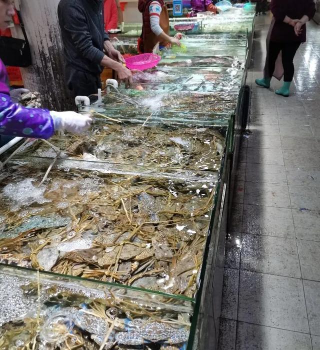 成都到涠洲岛旅游攻略自由行,成都去北海涠洲岛旅游攻略