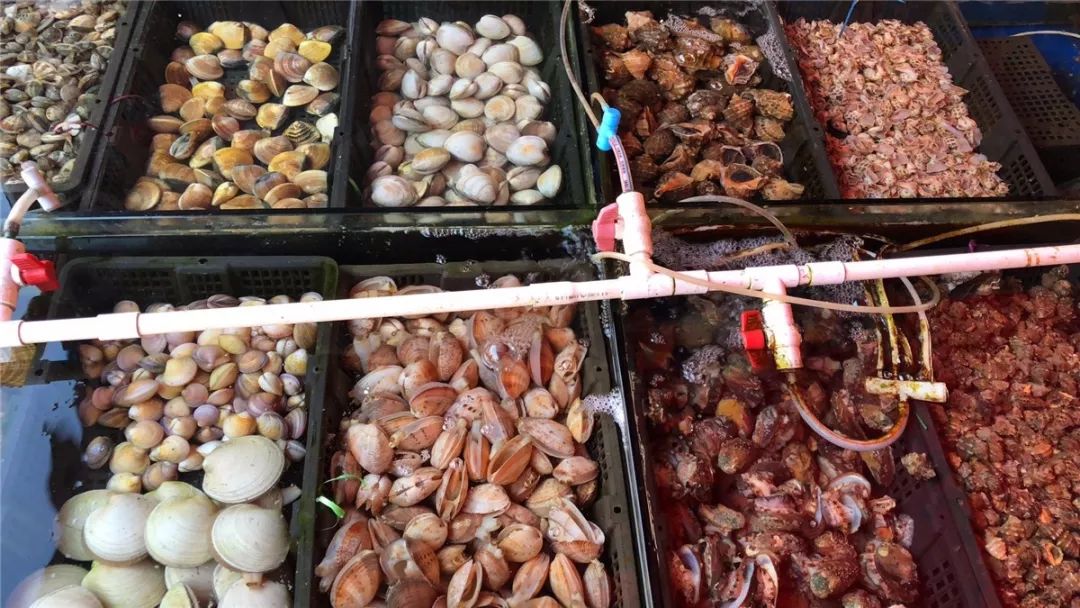 厦门10元店小商品最全批发市场,厦门最大的小商品批发市场在哪里