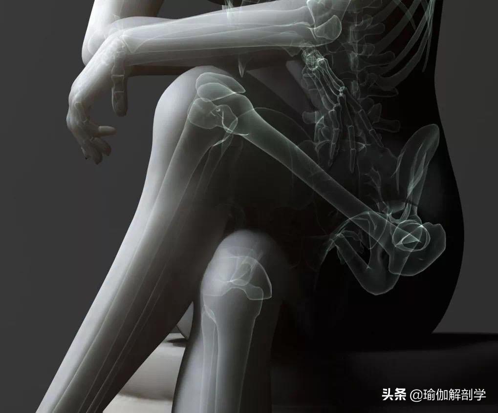 臀塌陷假胯宽怎么练,臀塌腿粗假胯宽正确修复