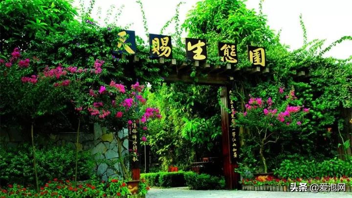 重庆天赐温泉攻略,重庆性价比最好的温泉