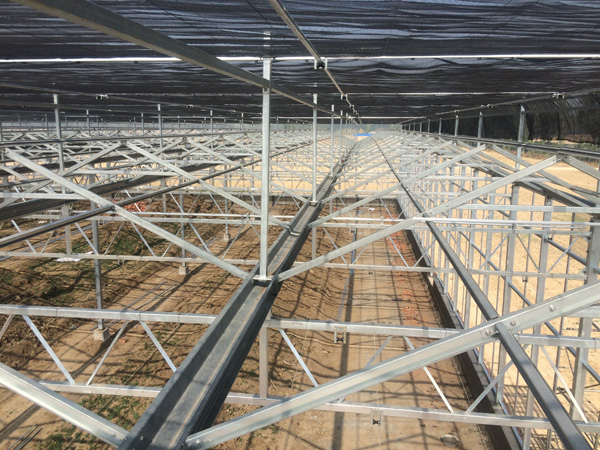 普通温室大棚一亩地造价多少,一亩全自动温室大棚要多少钱