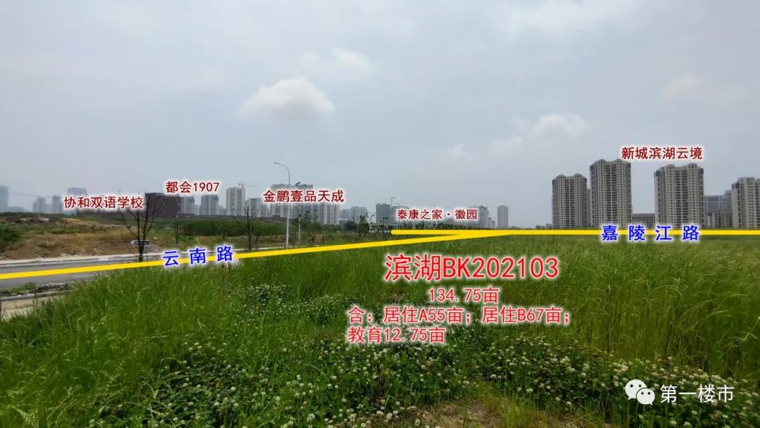 滨湖万科蓝山二手房带院子露台,合肥滨湖万科蓝山二手房价格