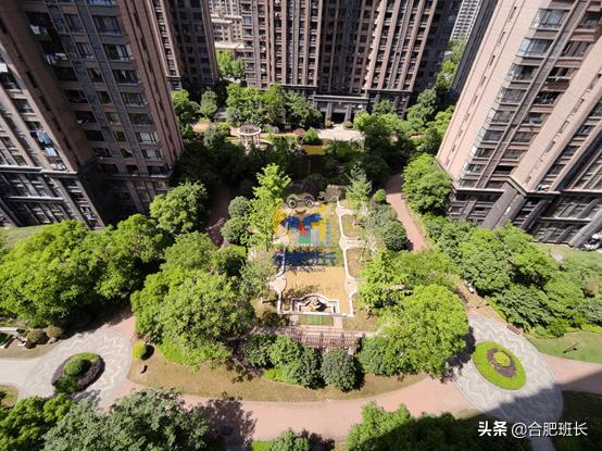 滨湖省府板块高速,实探滨湖区省府中轴禹洲绿城兰园