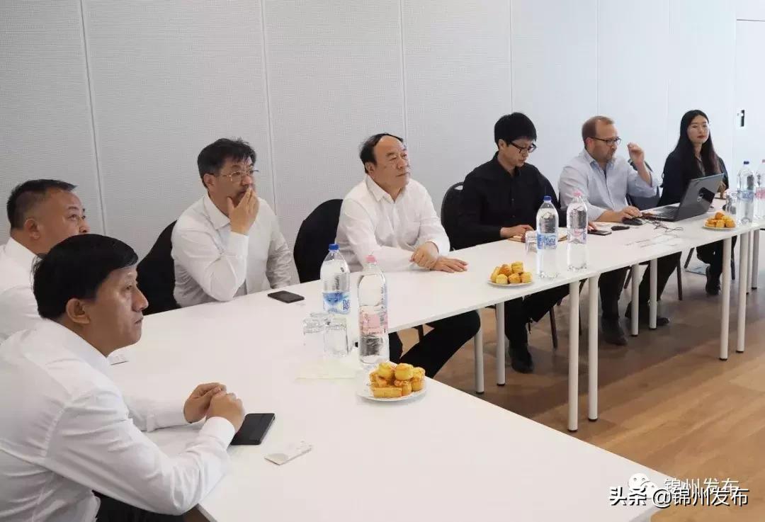 王德佳率团赴日本、波兰、匈牙利开展经贸洽谈活动~成果丰硕