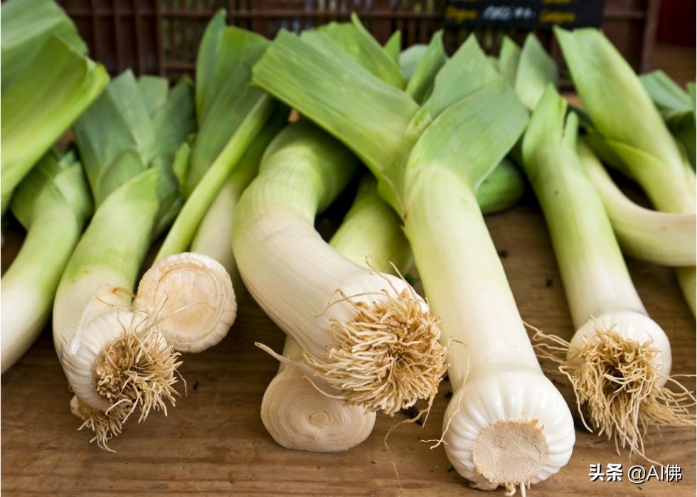 十种不能给狗吃的食物,狗的克星食物