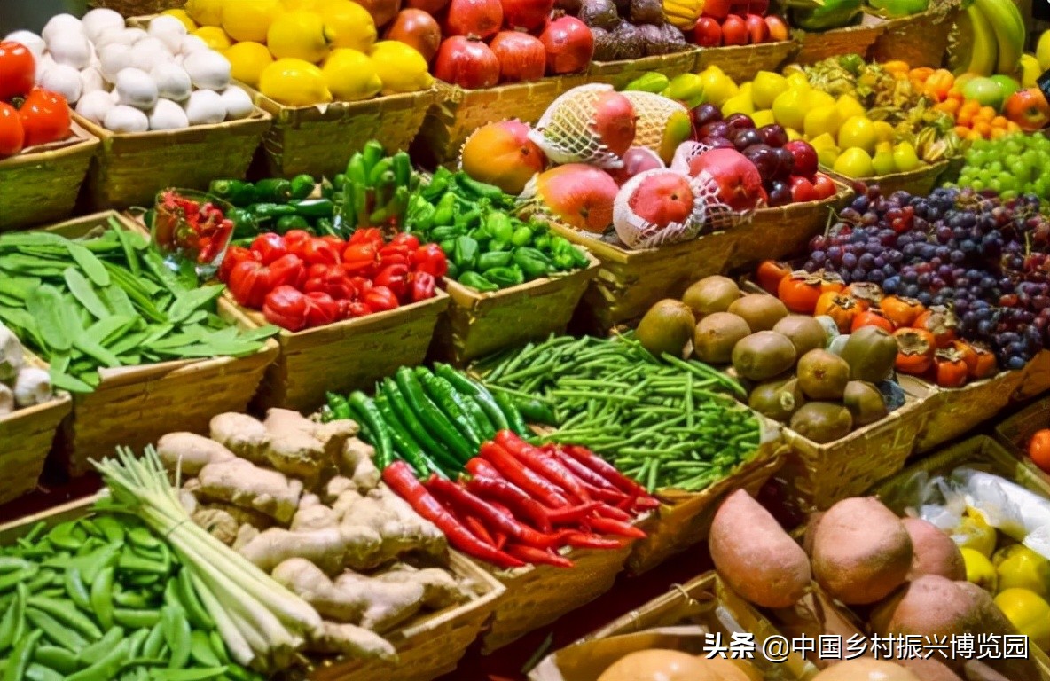 乡村振兴产业方面存在的问题,乡村振兴最有前景九大产业