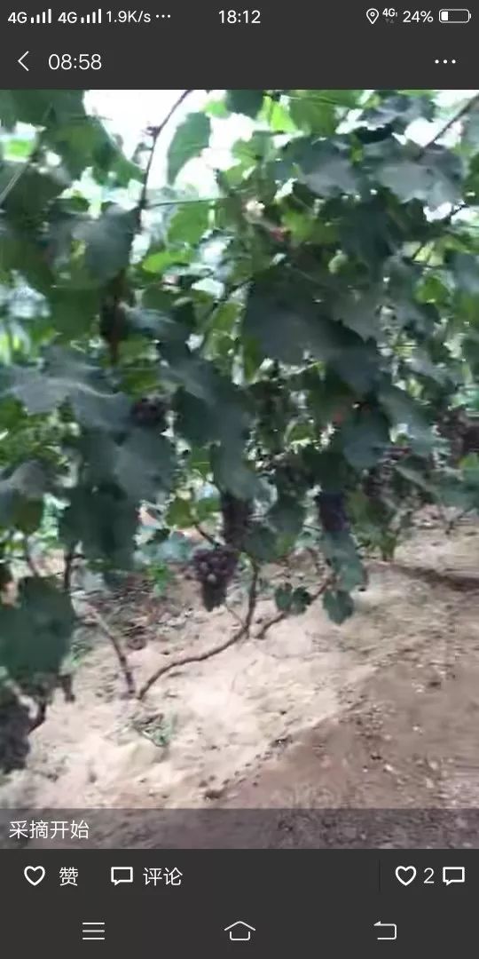 说走就走的一日游旅行,盖州市白沙湾旅游攻略