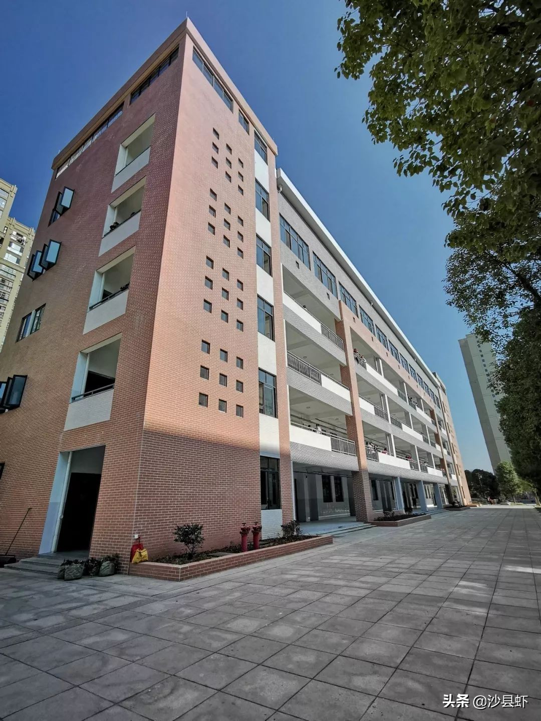 有序推进！沙县虾关心的32项为民办实事项目有了新进展