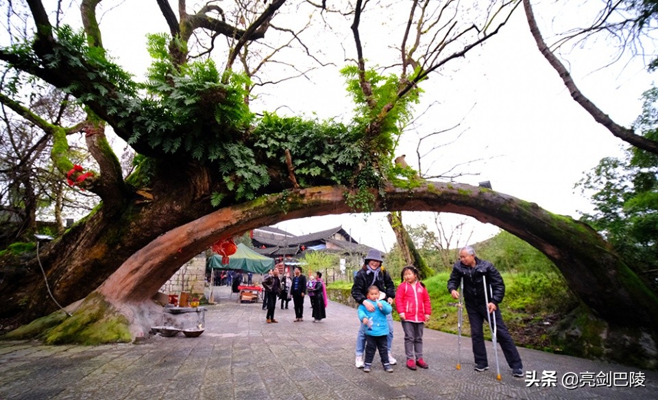 湖南省美丽乡村怀化名单,湖南怀化新晃最美乡村