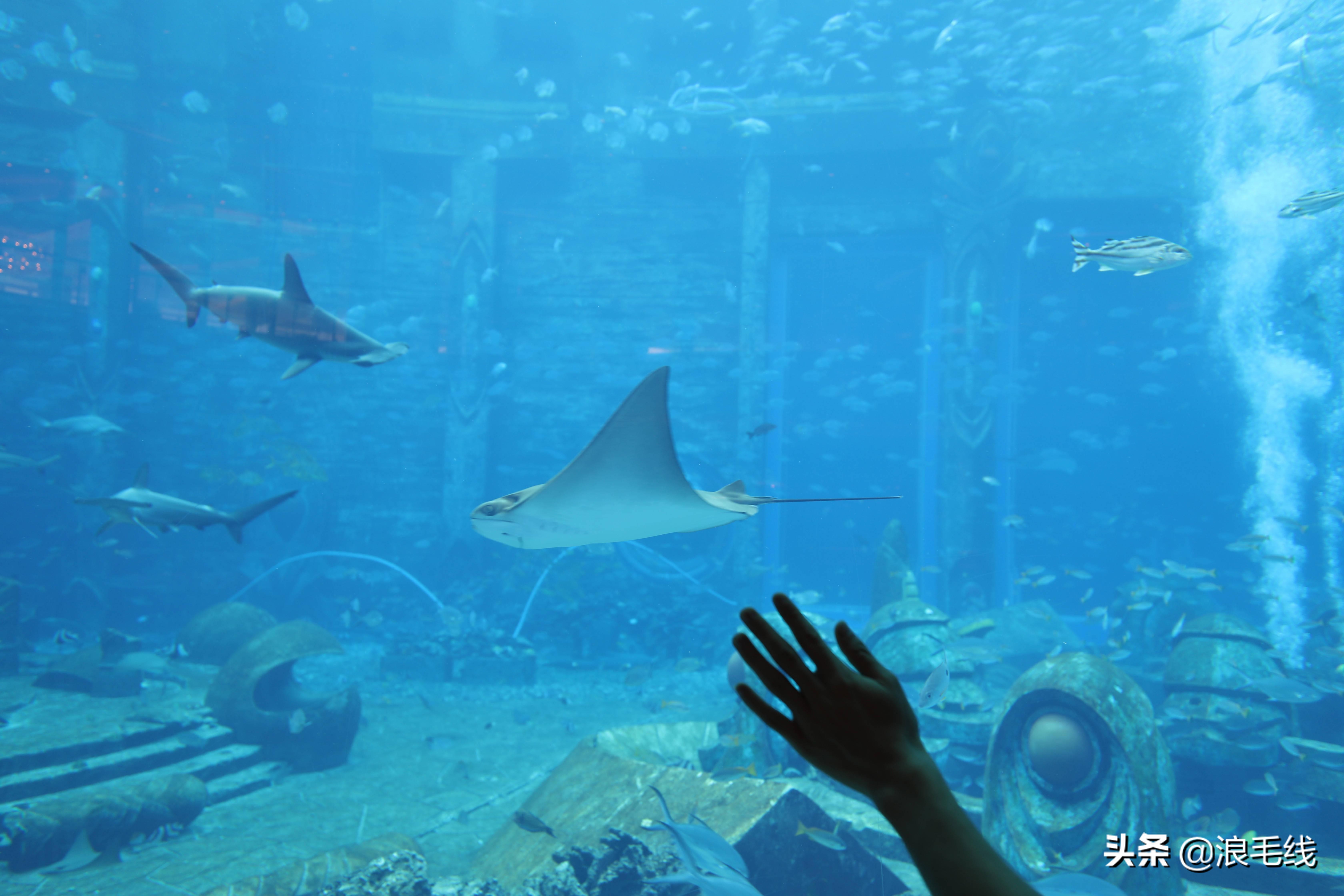 三亚海棠湾自由行热门攻略,三亚四天三夜海棠湾自由行攻略