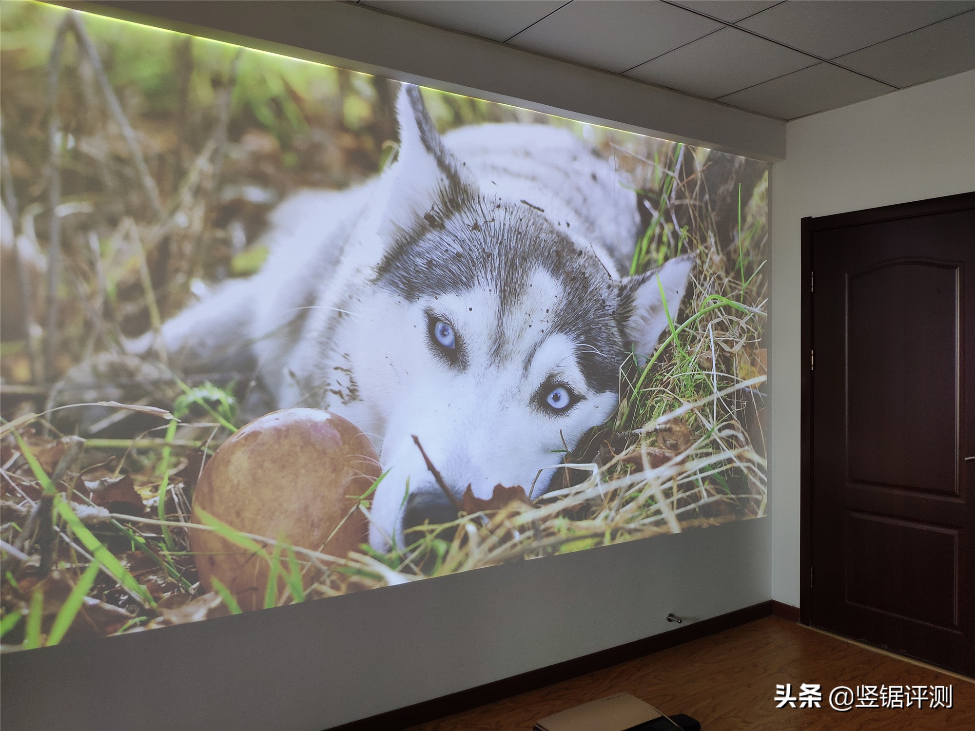 激光电视坚果u1与坚果s3对比,坚果s3激光电视对比s1pro