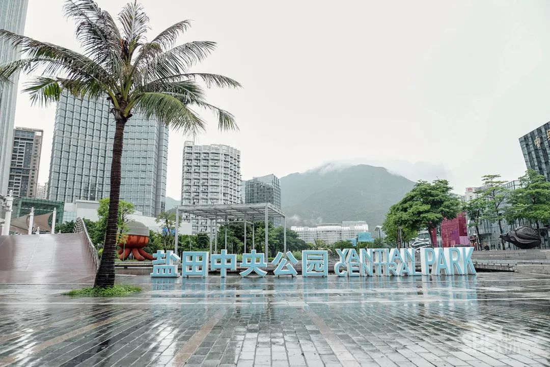 深圳卖衣服的商场,深圳的商场有哪些