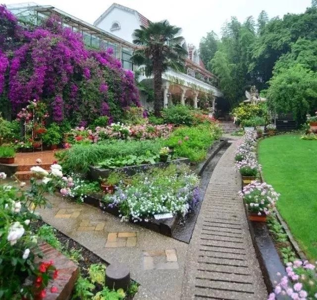 鍥壓鐤楁硶浠嬬粛,鍥壓鐤楁硶鐨勫垱鏂板強鐗圭偣