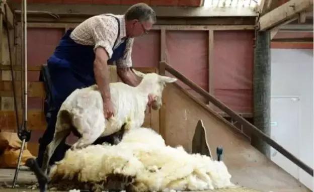 微信营销号骗局,微信小广告骗局