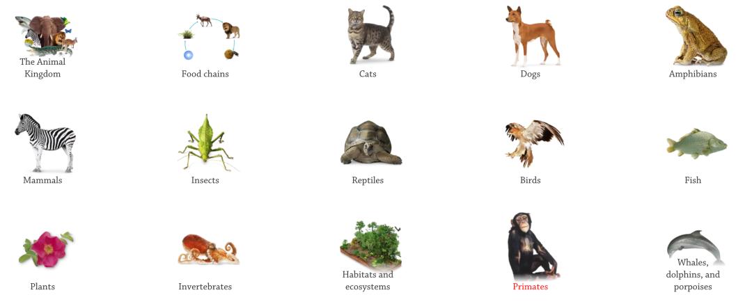 全免费的百科知识网站——DKFindOut!