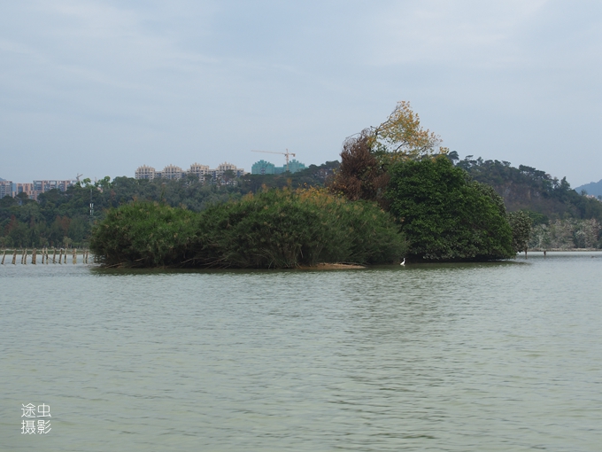 肇庆湿地公园美景图,肇庆星湖湿地生态旅游景区