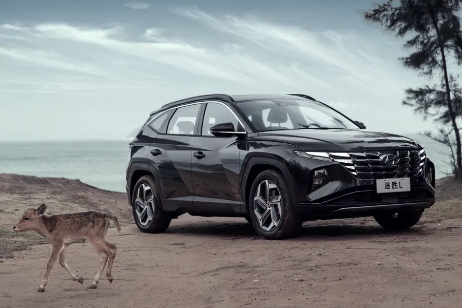 不仅颜值吸睛更要动力充沛,不仅颜值高性能更硬核