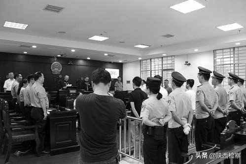 长达600斤的野猪,500斤野猪被蜥蜴掏空还跑了