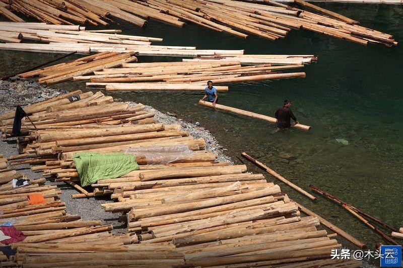 木材可以在水里存放吗,木材放水里需要做什么处理