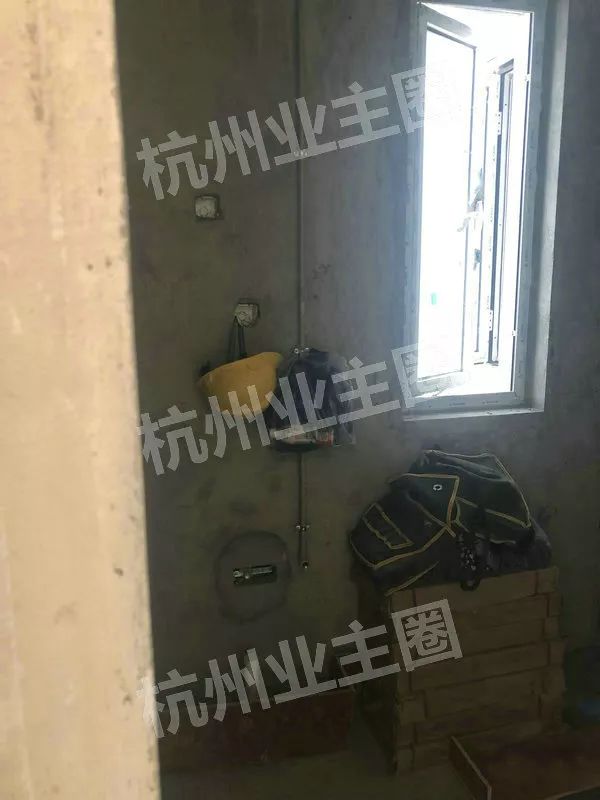 绿都什么意思,绿都包括哪些绿