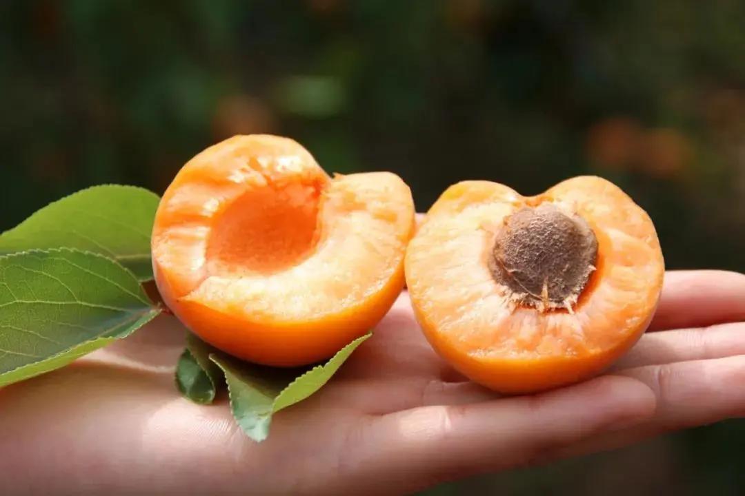 青白江特色旅游商品来啦！快来看有没有你的“心头好”