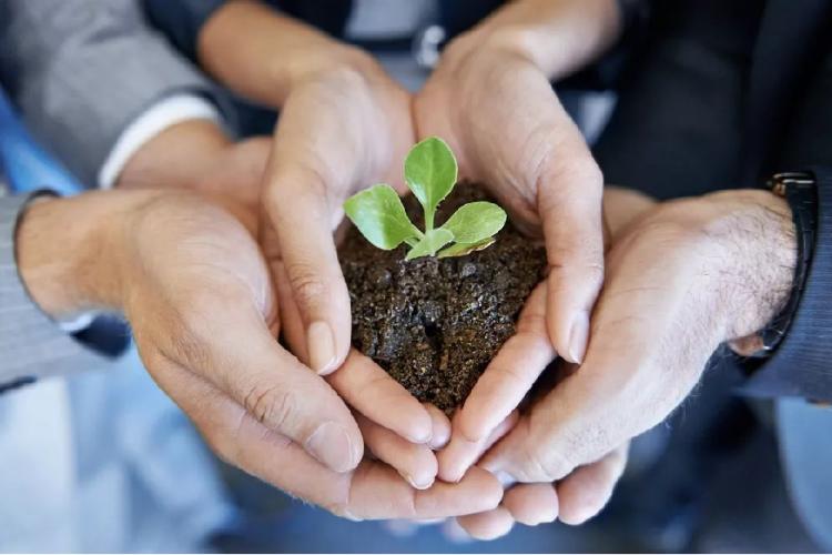 东芝大连赔偿方案,东芝大连补偿协议