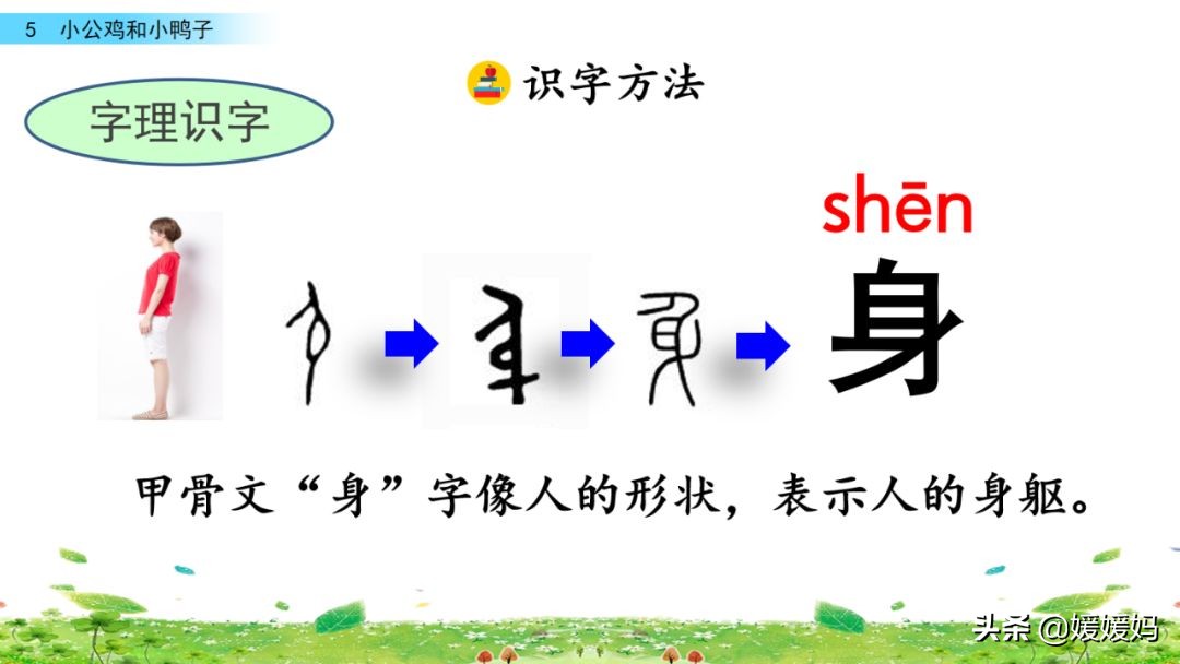 一年级小公鸡和小鸭子仿写句子,一年级小公鸡和小鸭子的看图写话