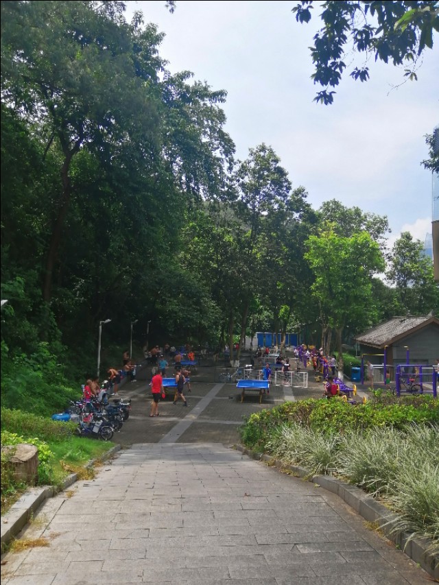 东莞旗峰公园掠影,东莞旗峰公园大体俯视图片
