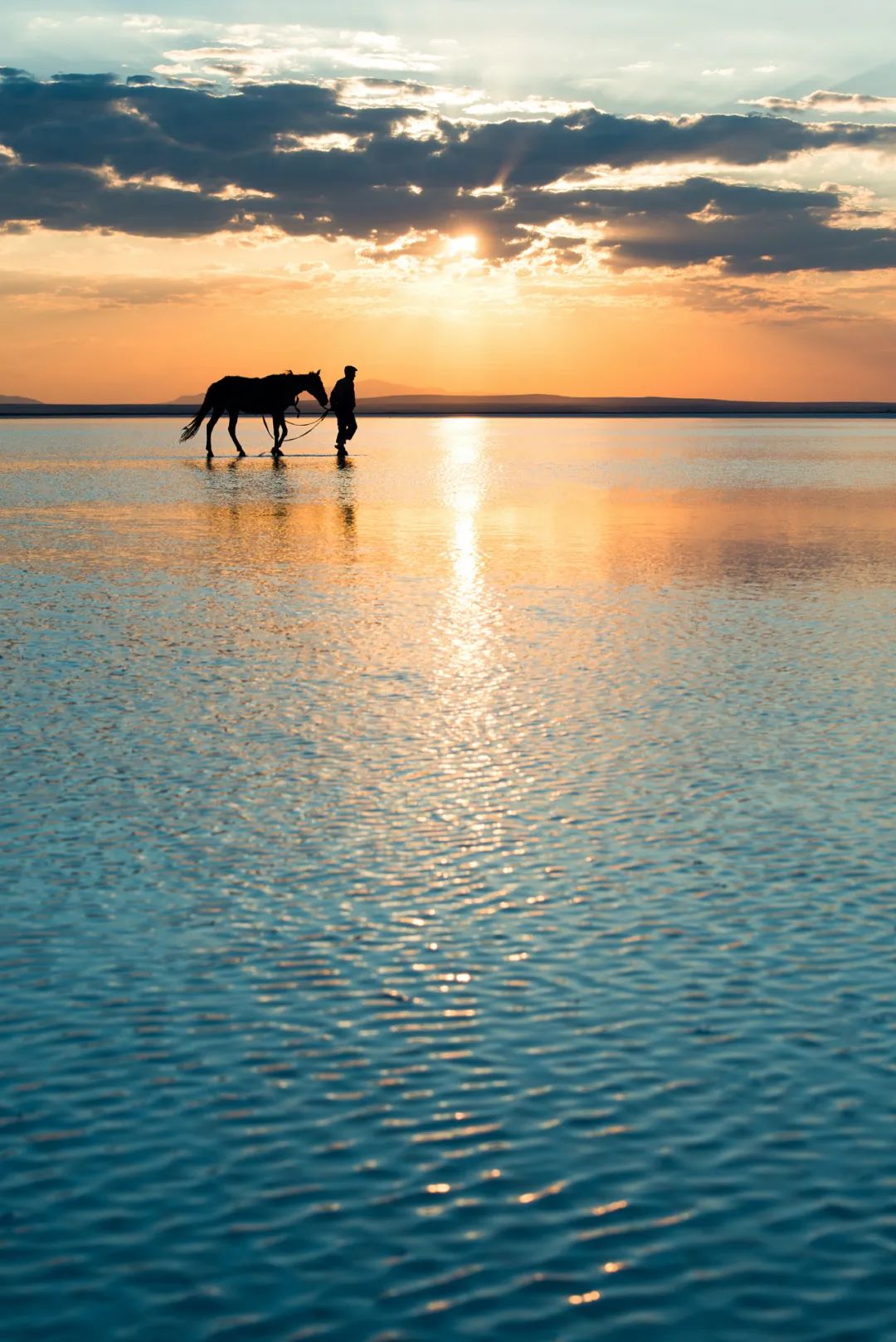 我永远臣服于温柔出处,我永远臣服于温柔
