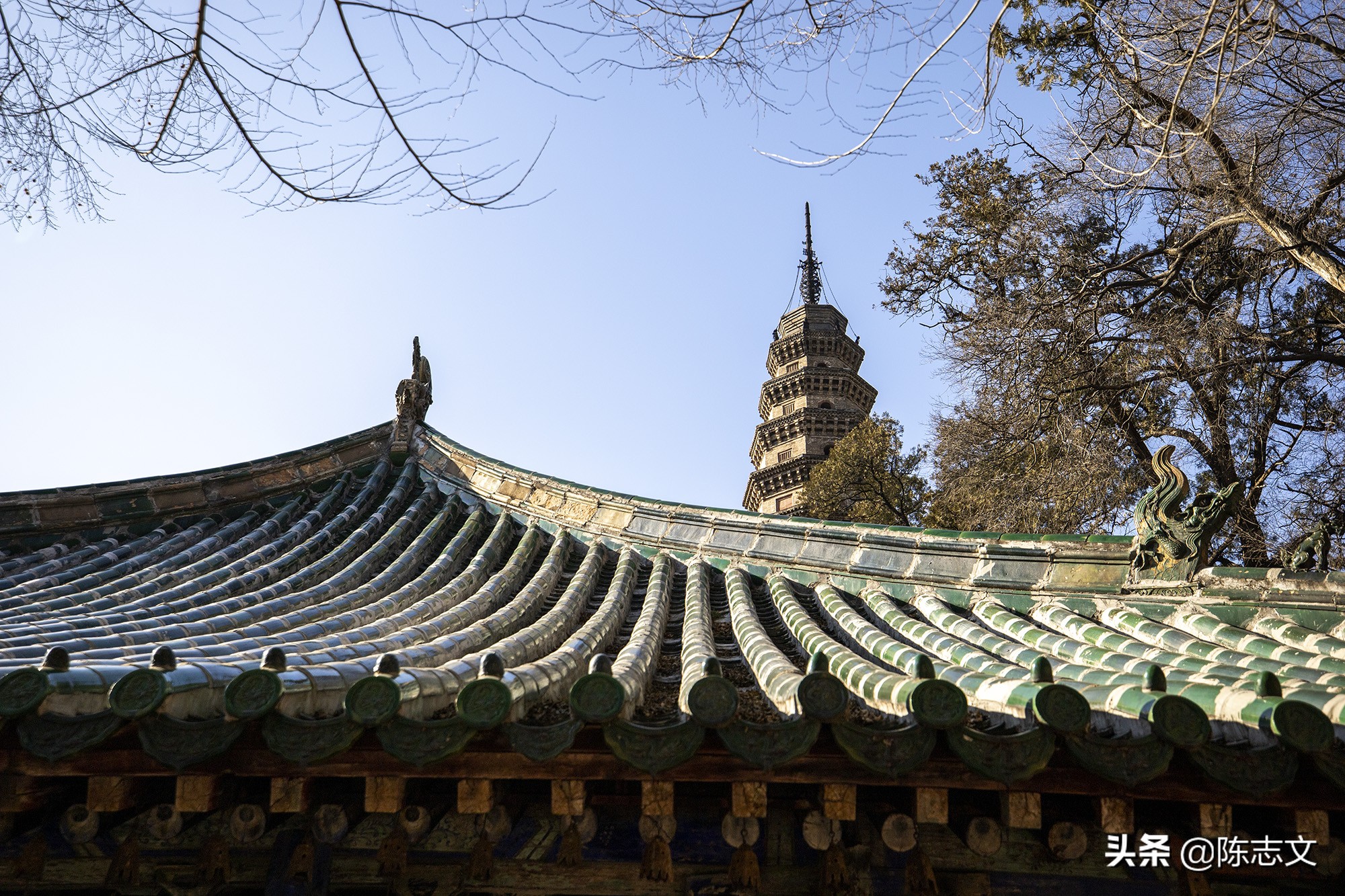 佛陀圆寂后几日火化,古代高僧圆寂视频