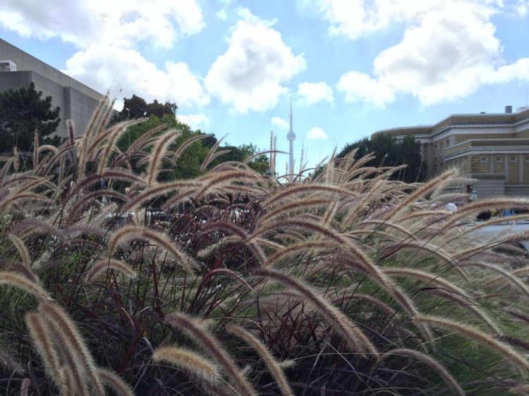 去圣彼得堡国立大学留学,圣弗朗西斯泽维尔大学有什么优势