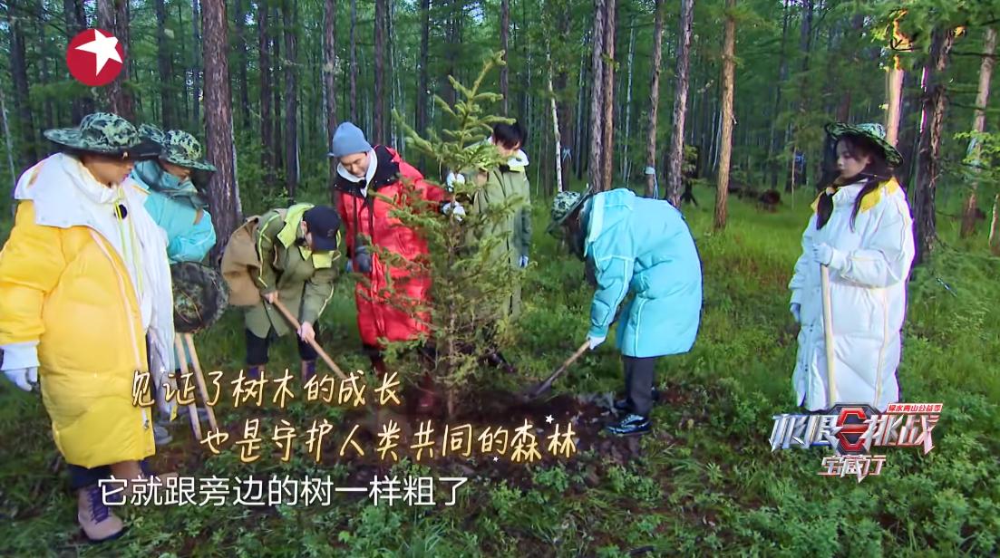 上海台主持人被封杀,上海卫视主持人集体翻车都有谁