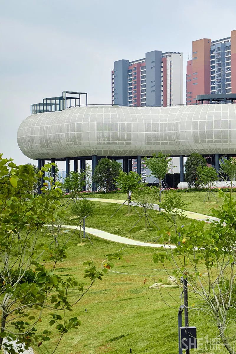 深圳5号地铁线附近的公园,地铁直达的深圳商圈